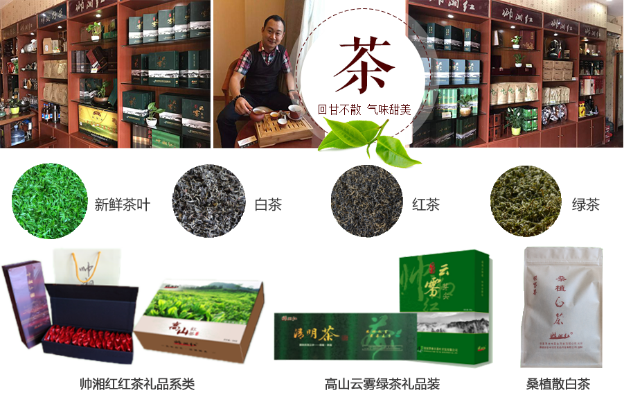 張家界林豐茶葉開發有限公司,張家界茶葉開發,茶葉種植,桑植白茶加工,帥湘紅銷售