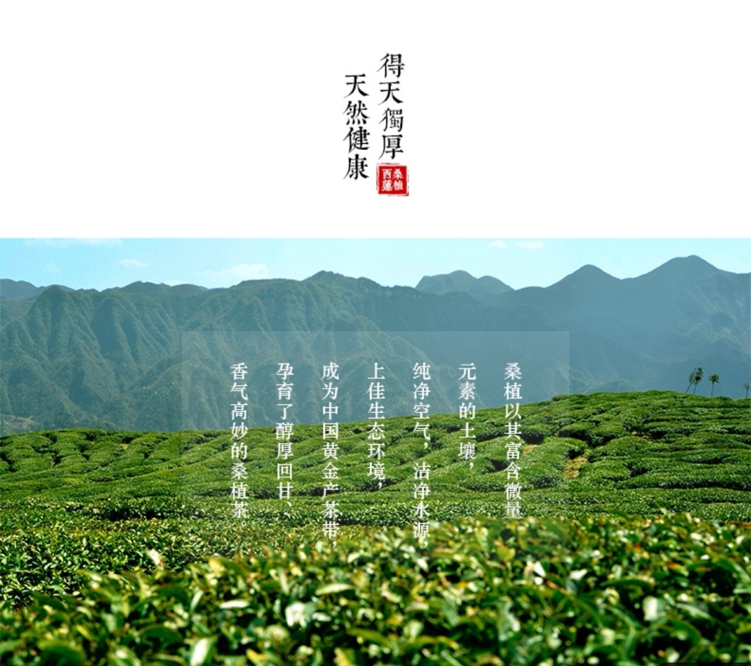 張家界林豐茶葉開發有限公司,張家界茶葉開發,茶葉種植,桑植白茶加工,帥湘紅銷售