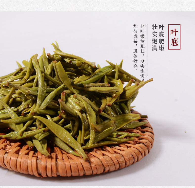 張家界林豐茶葉開發有限公司,張家界茶葉開發,茶葉種植,桑植白茶加工,帥湘紅銷售