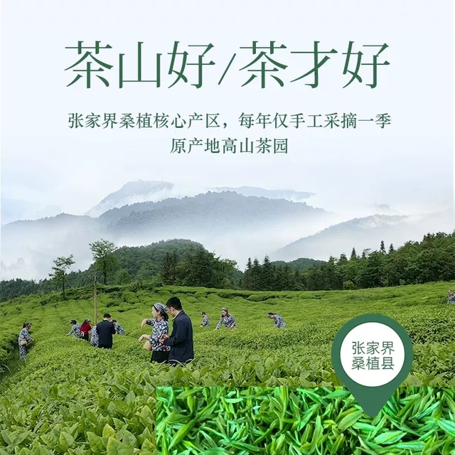 張家界林豐茶葉開發有限公司,張家界茶葉開發,茶葉種植,桑植白茶加工,帥湘紅銷售